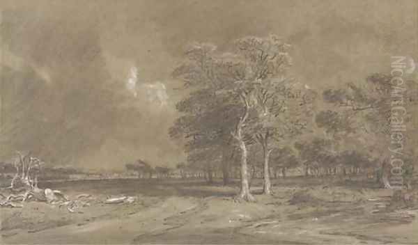 An extensive parkland landscape - view 1