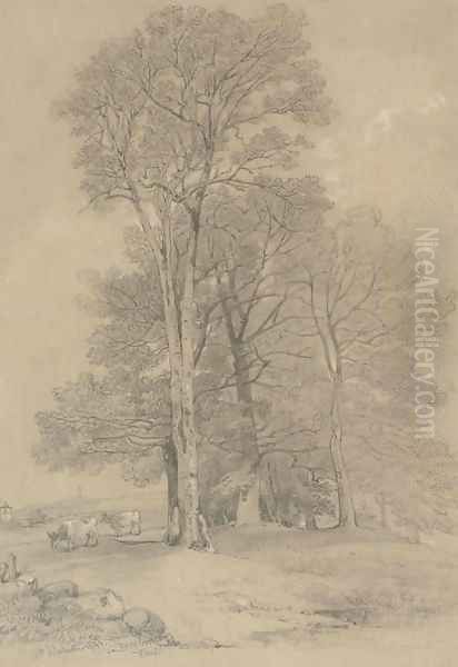 Study of trees - view 1