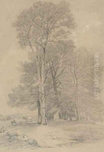 Study of trees by William Alfred Delamotte