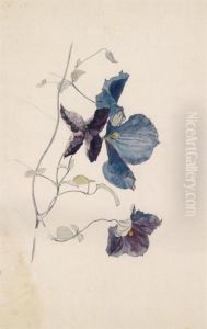 Blue Clematis