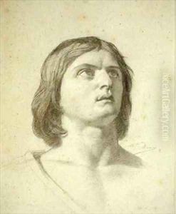 Head of a Youth