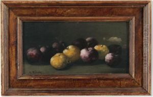 Still Life Of Plums Still Life Of Plums