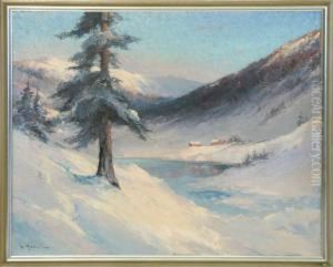 Vinterbild Fran Norrland