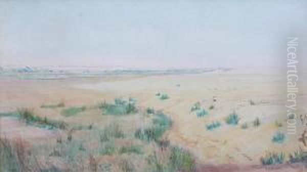 An Open Landscape - view 1