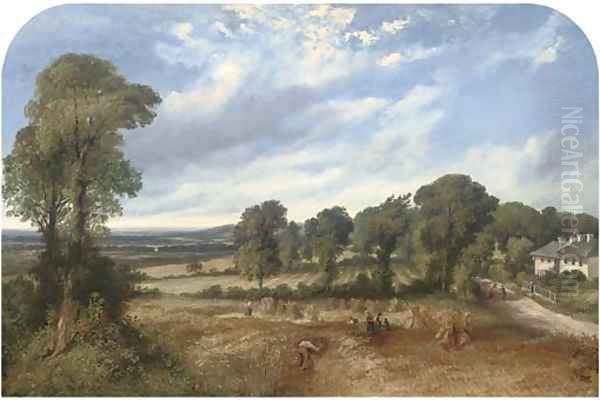 Harvesting - view 1