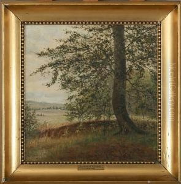 The Edge Of A Forest. Signed Richardt - view 1