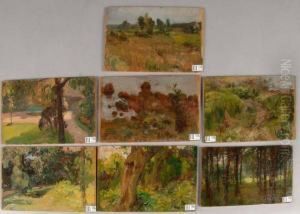 Coin De Foret