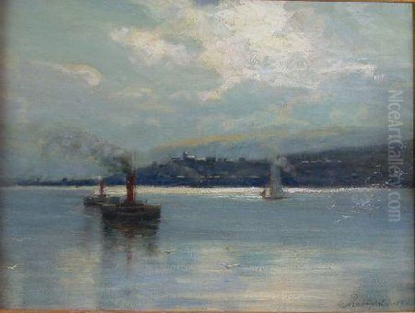 Two Paddlesteamers - view 1