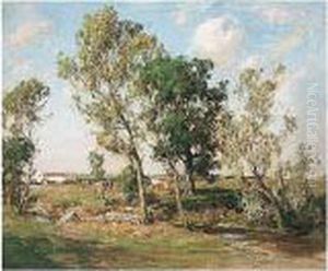 Summer Landscape Summer Landscape