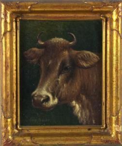 Portrait Of A Cow