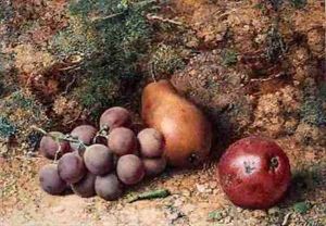 Grapes Apple and Pear on a Mossy Bank by Philip Dolan