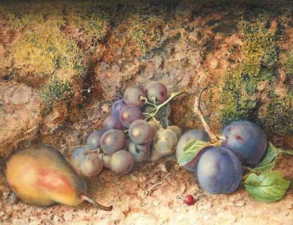 Still life with Grapes, Plums and a Pear on a mossy Bank - view 1