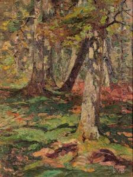 Waldlandschaft - view 1