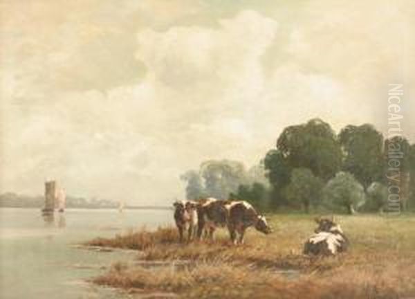 Niederrheinlandschaft - view 1