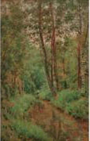 Ruisseau En Sous-bois - view 1