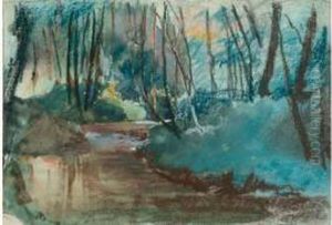 Riviere En Sous-bois