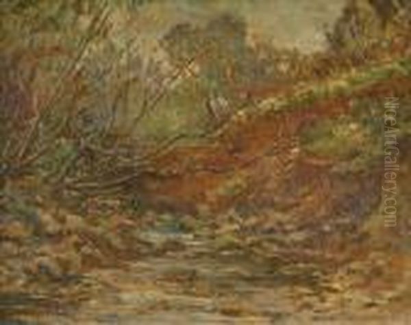 Woodlandstream - view 1