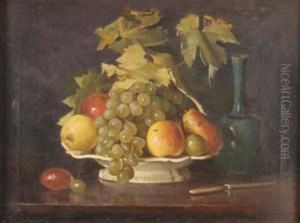 Still Life Still Life