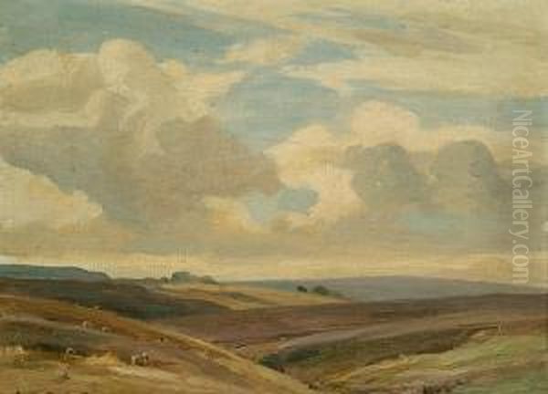 Sheep Grazing On Moorland - view 1