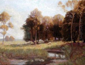 Sheep Grazing Near A Woodland