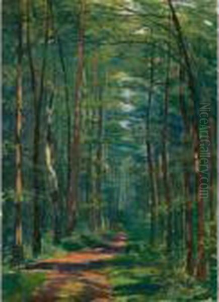 Wald Bei Oberlunkhofen - view 1