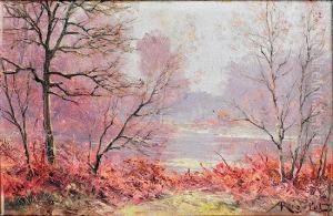 Paysage A L'etang