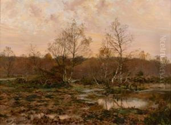 Deux Biches Se Desalterant Dans Une Clairiere Au Crepuscule - view 1
