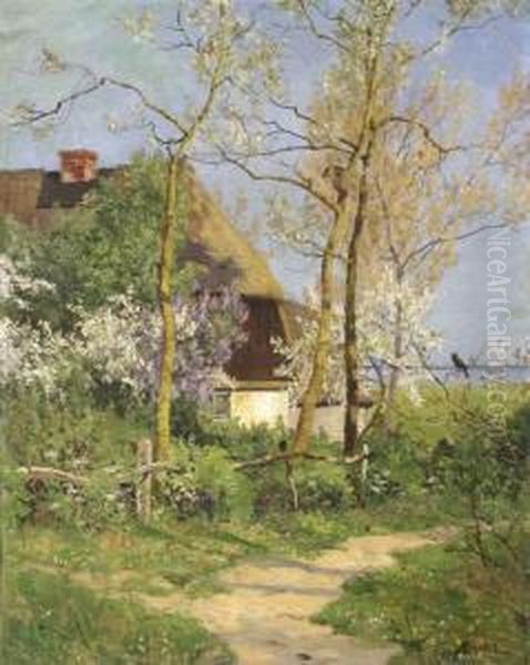 Path Near Cottage - view 1
