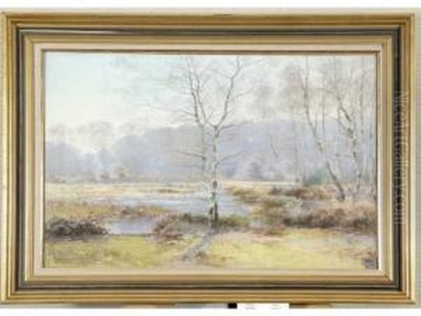 Paysage De Sologne - view 1