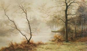 Arbres Au Bord D'un Etang
