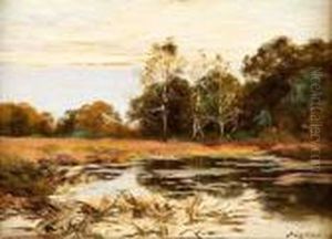 Paysage Aux Marais