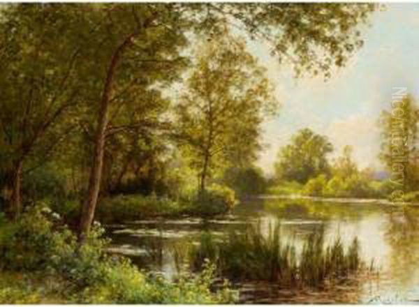 The River Bank In Summer - view 1