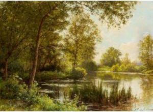 The River Bank In Summer