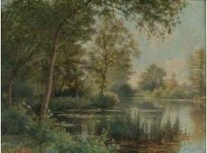 L'etang Borde D'arbres