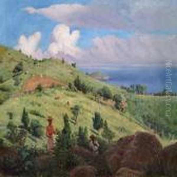 From The North Side Of Stthomas - view 1