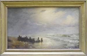 Bord De Mer Aux Mouettes
