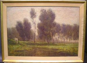 Misty Landscape