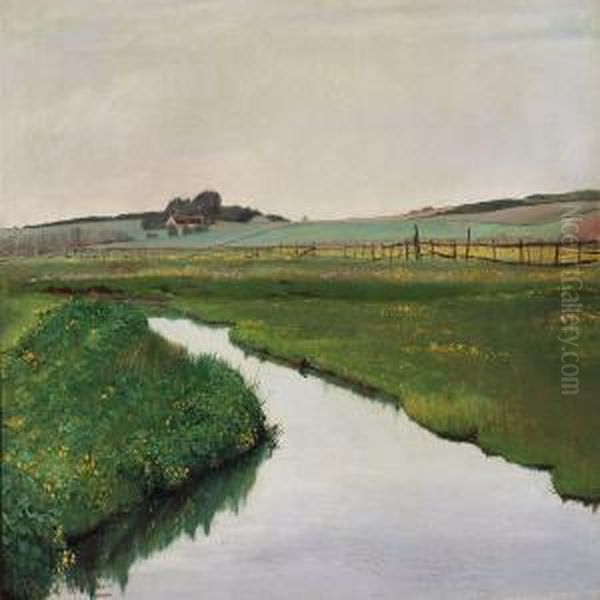 Streamthrough Green Fields With Marsh Marigold (kabbeleje) Inbloom - view 1