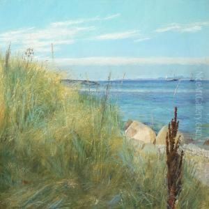 A Beach Scenery With Lyme Grass