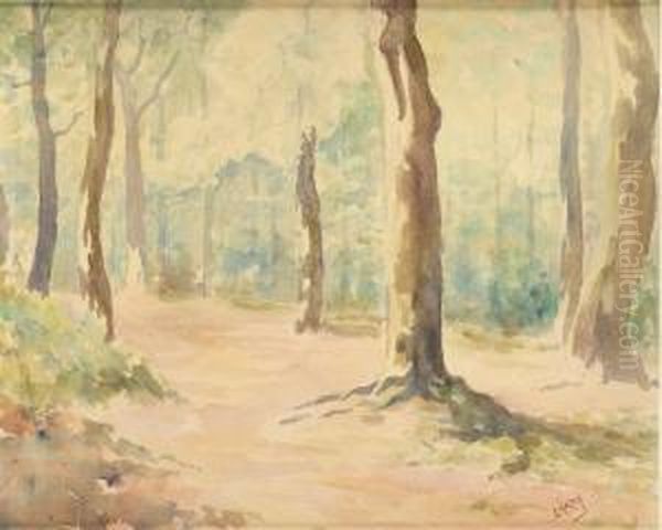 Bokskog - view 1