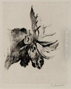 Old Bull by Carl Ringius