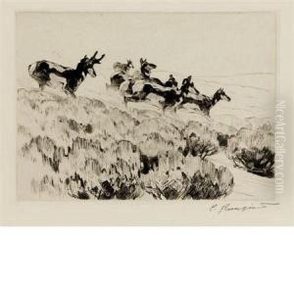 Antelope - view 1