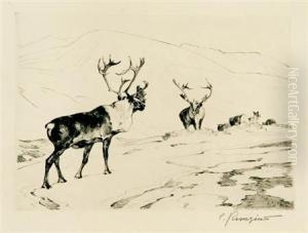 The Stranger (c. 14) - view 1