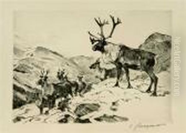 Mountain Caribou (c. 29) - view 1