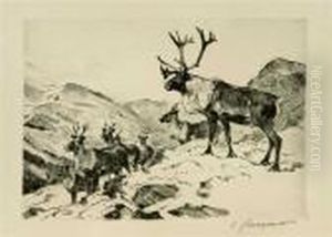 Mountain Caribou (c. 29)