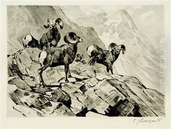 Among The Crags (c. 33) - view 1