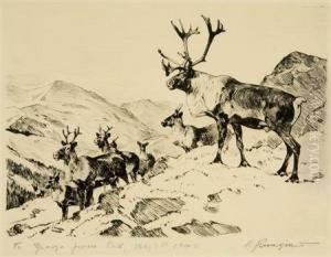 Mountain Caribou (c. 29) by Carl Ringius