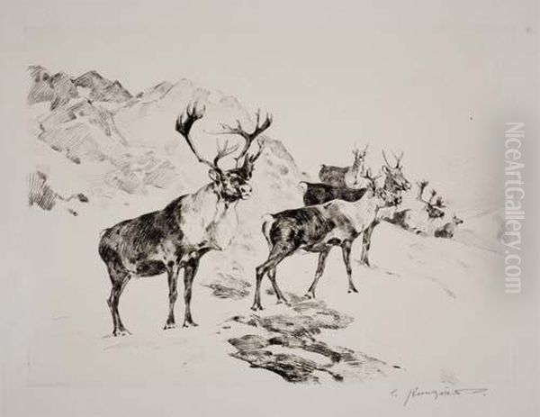 Osborne's Antelope - view 1