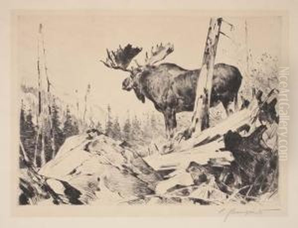 Alaskan Wilderness - view 1