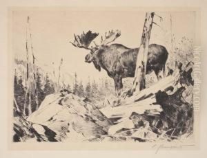 Alaskan Wilderness